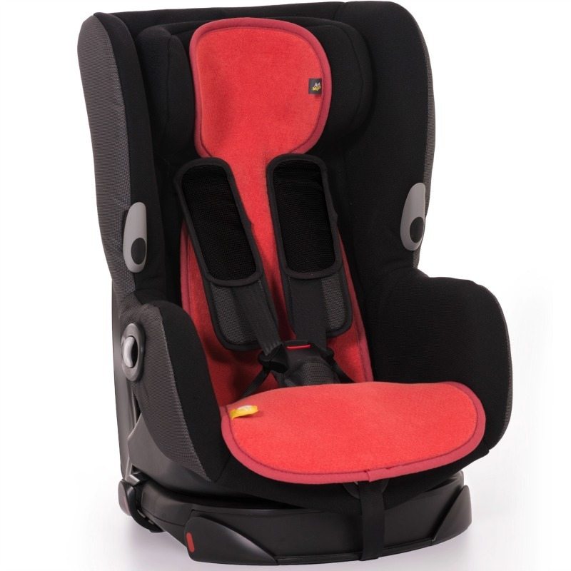 al-1-co-in-car-seat-1-1459623617-1.jpg