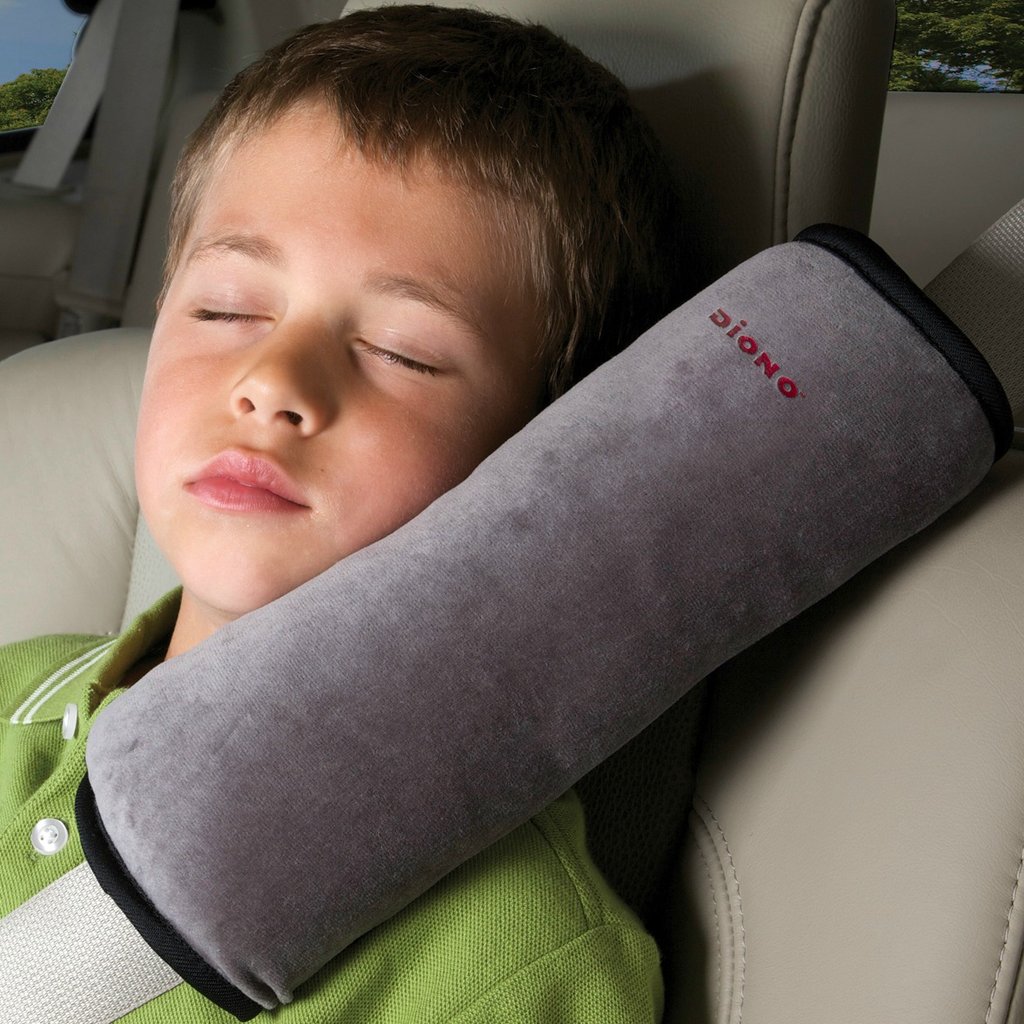 seatbeltpillow1_hres.jpg
