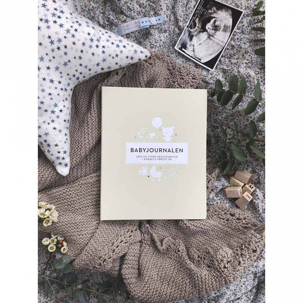 53255_Filiokus_Babybok_-_Filiokus_Babyjournalen_2.jpg