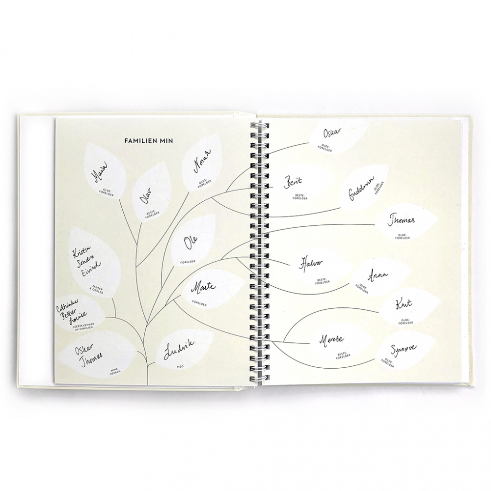 53255_Filiokus_Babybok_-_Filiokus_Babyjournalen_3.jpg