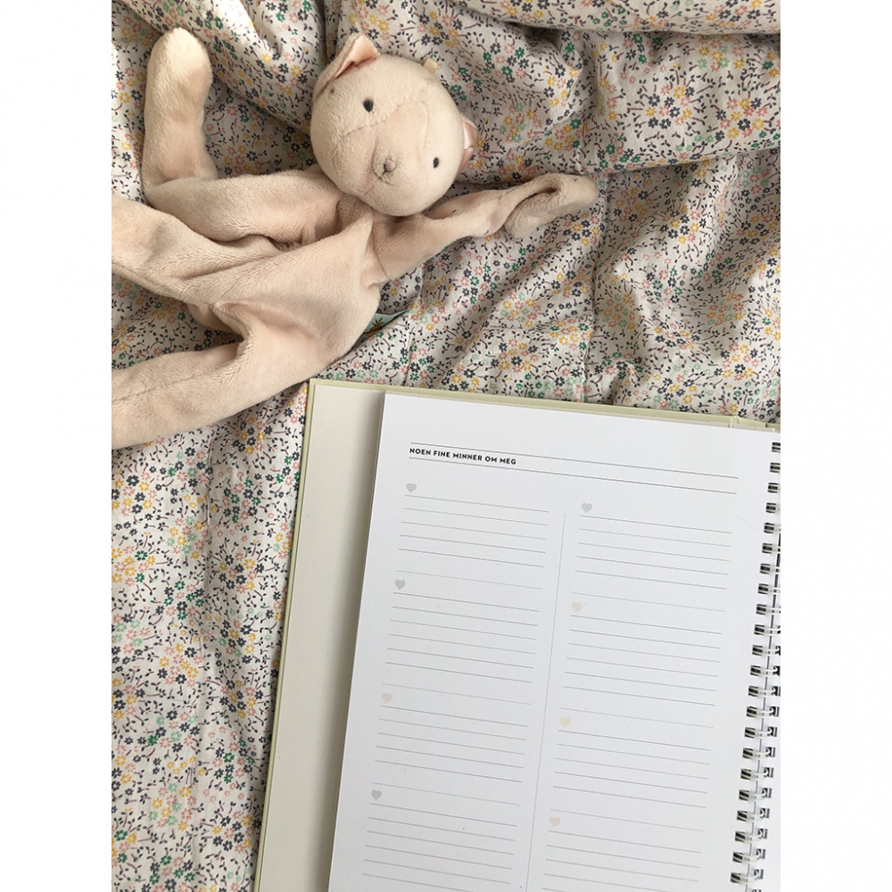 53255_Filiokus_Babybok_-_Filiokus_Babyjournalen_8.jpg