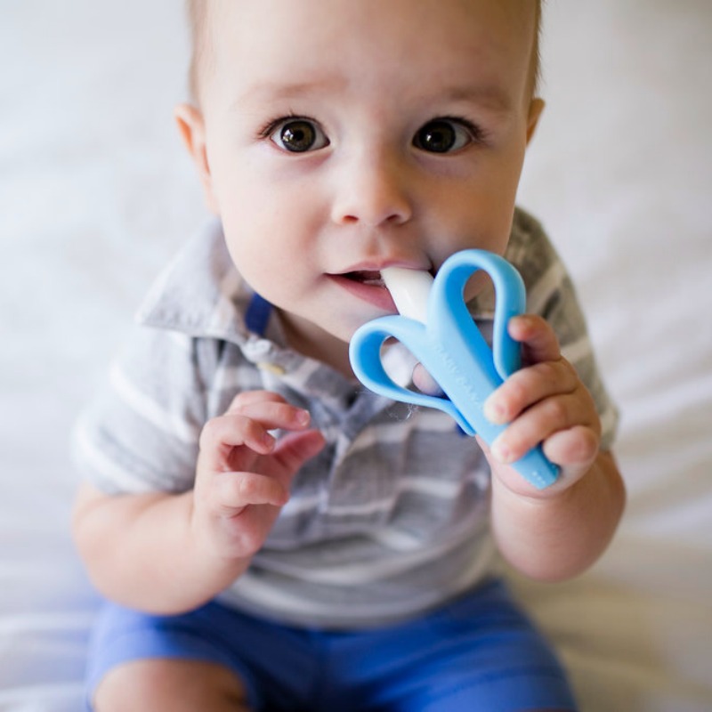 Blue-Baby-Banana.jpg