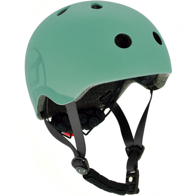 HELM_S_forest.jpg