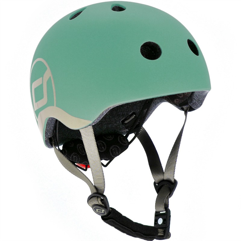 HELM_XS_forest.jpg