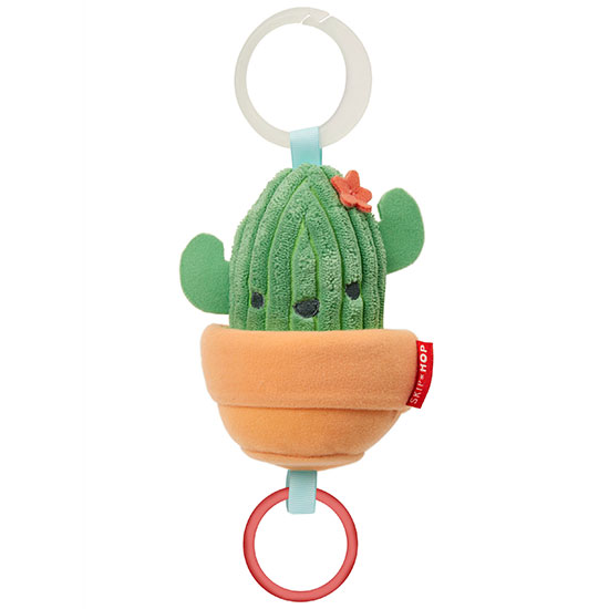 cactus01.jpg