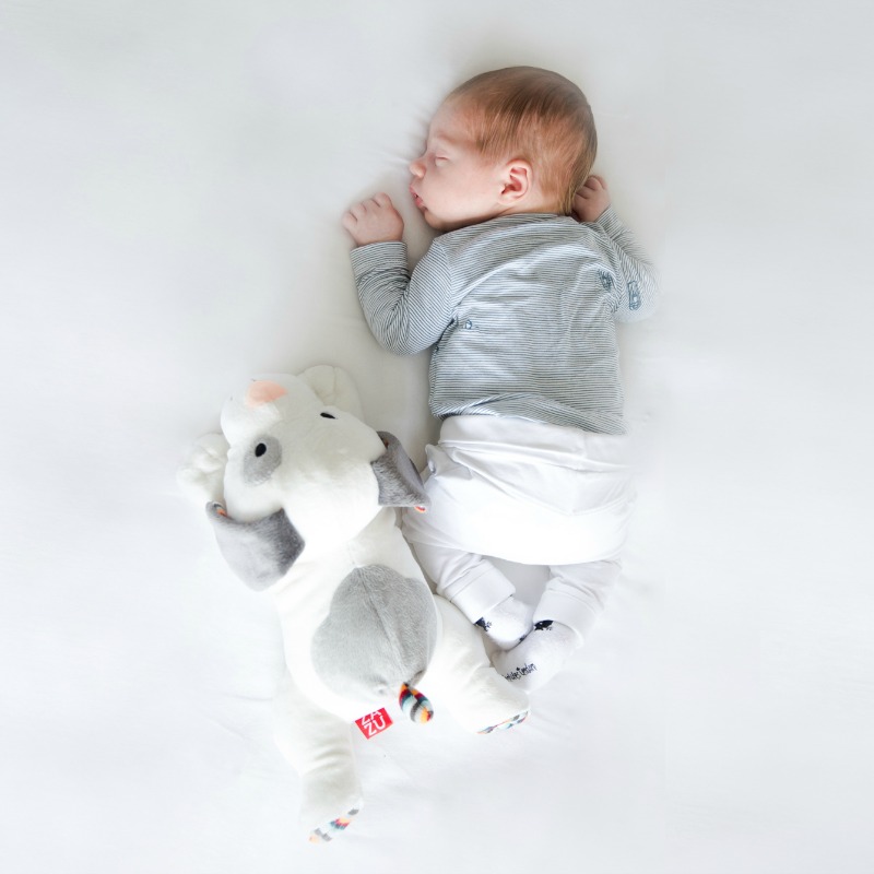 l_baby-dex-top-view-1446624398.jpg