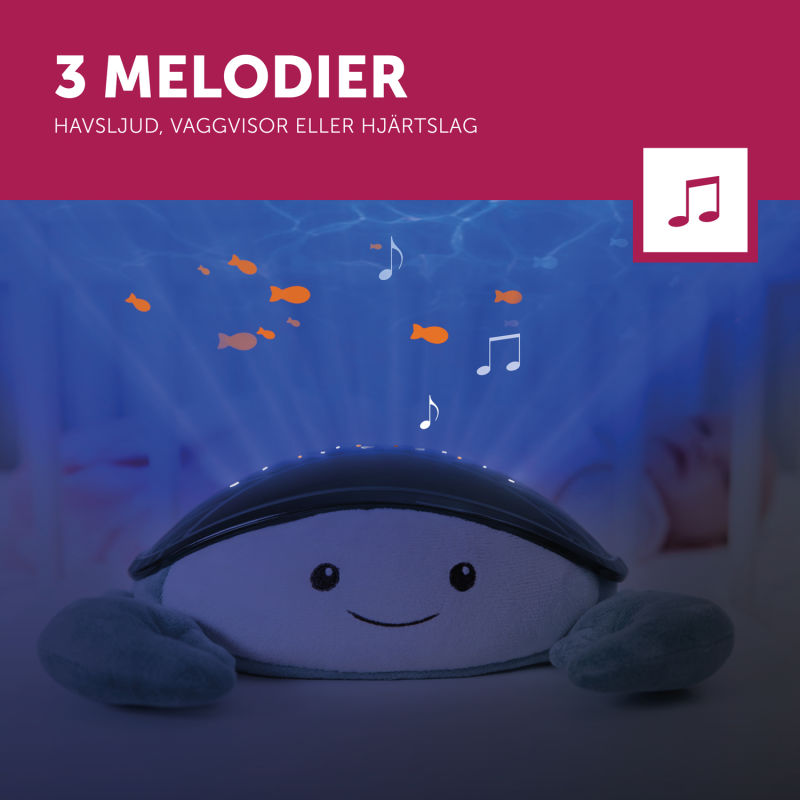 l_se-cody-4-3-melodies-lr-1573068127-1.jpg