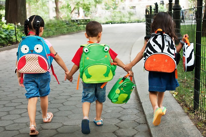 sh-zoo-pack-owl-frog-zebra_2.jpg