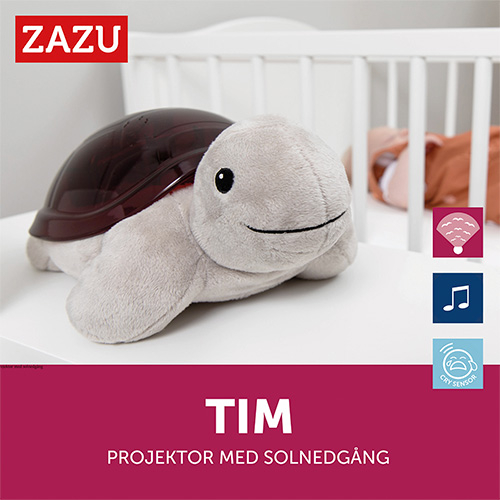 l_za-tim-01-pi-2-1647356678