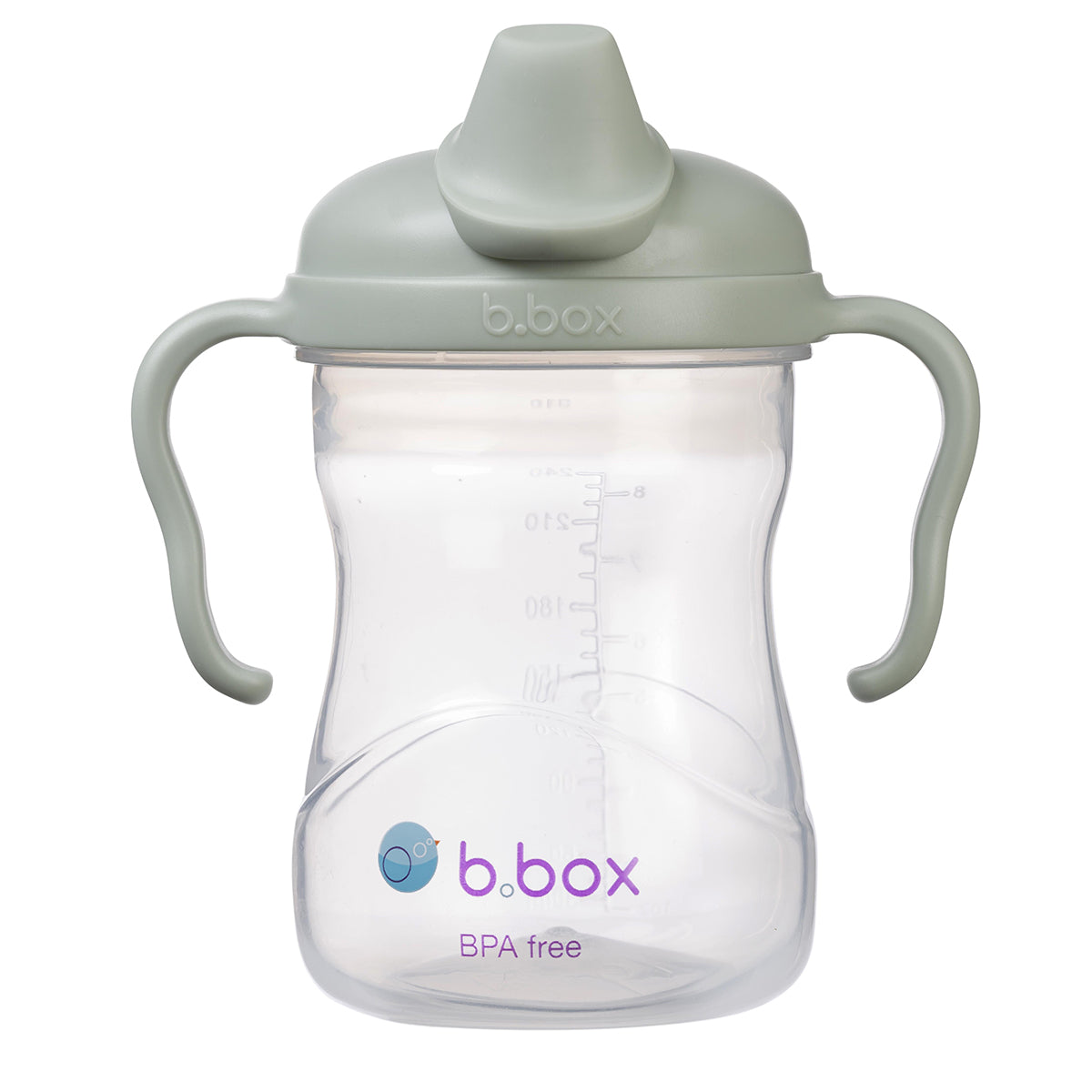 b.box-spoutcup-sage-1.jpg