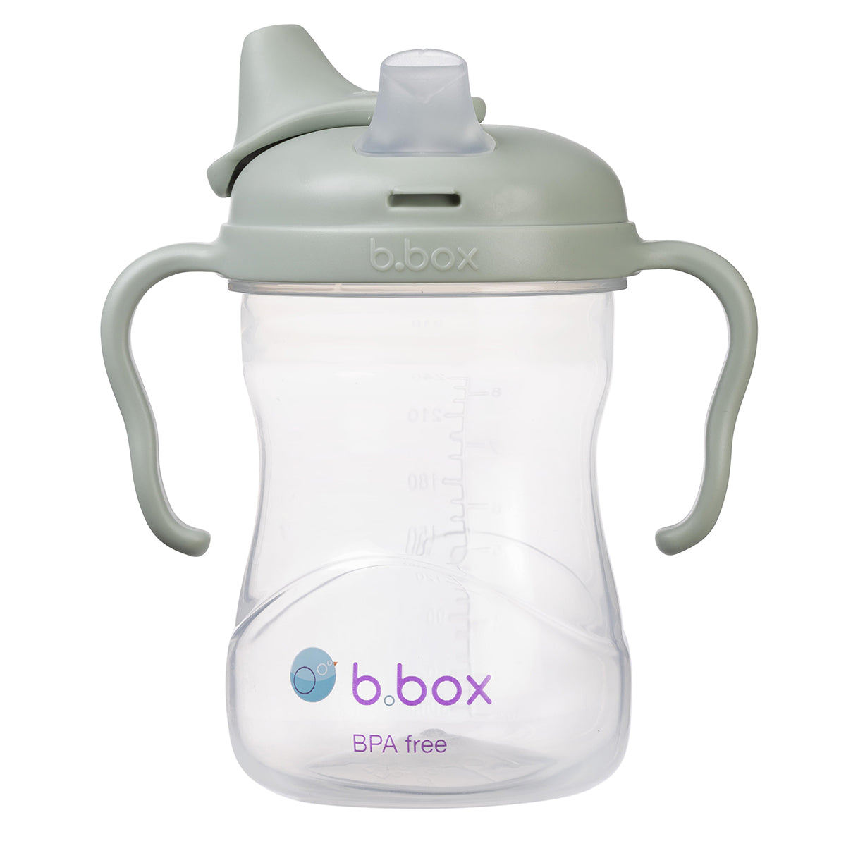 b.box-spoutcup-sage-2.jpg